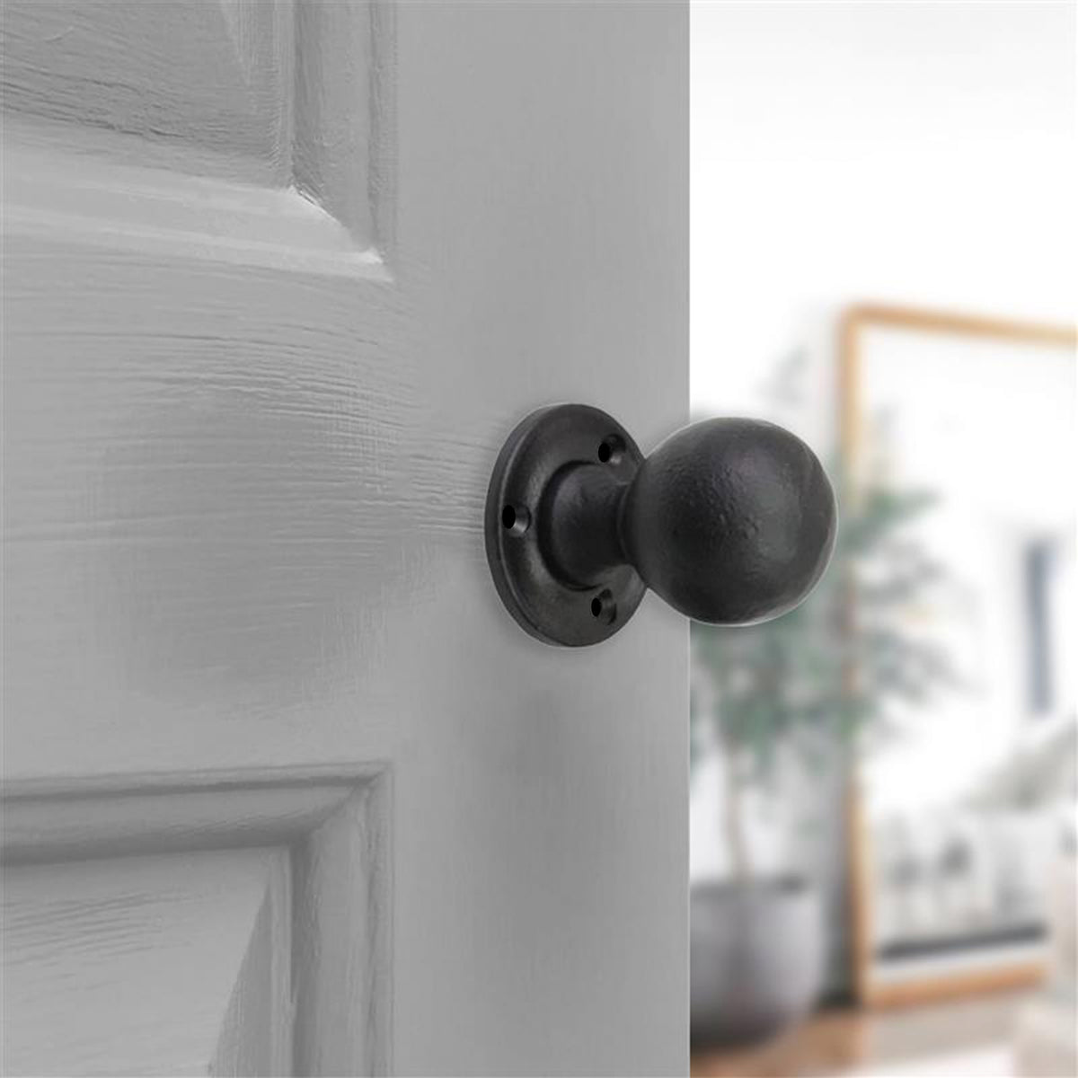 Ball Rim/Mortice Door Knob