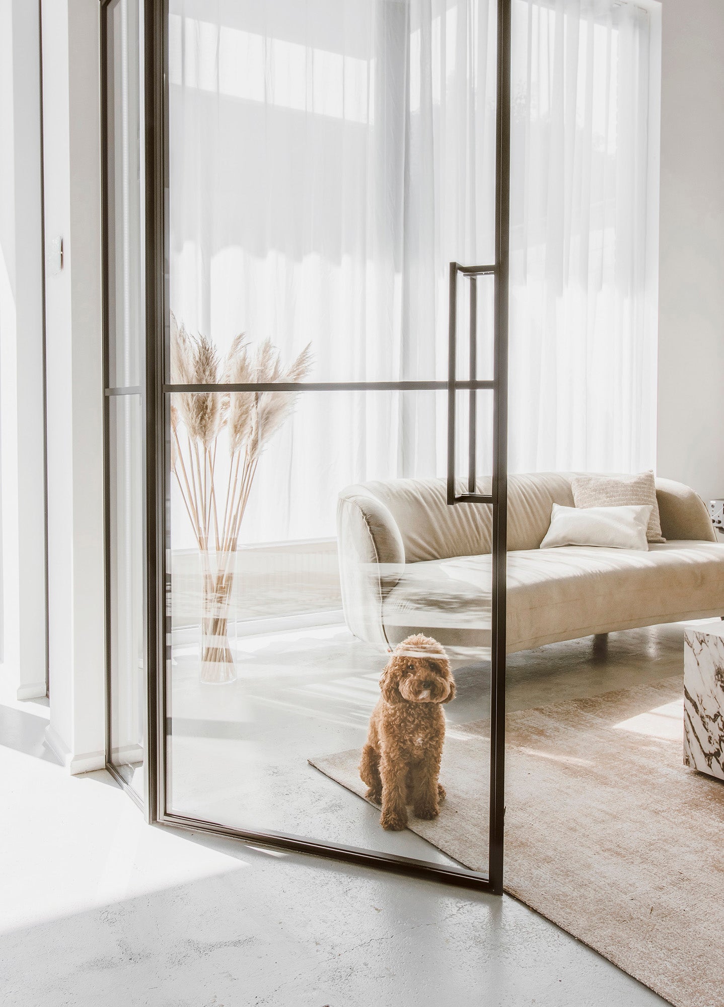 Load video: OTIF Commerical