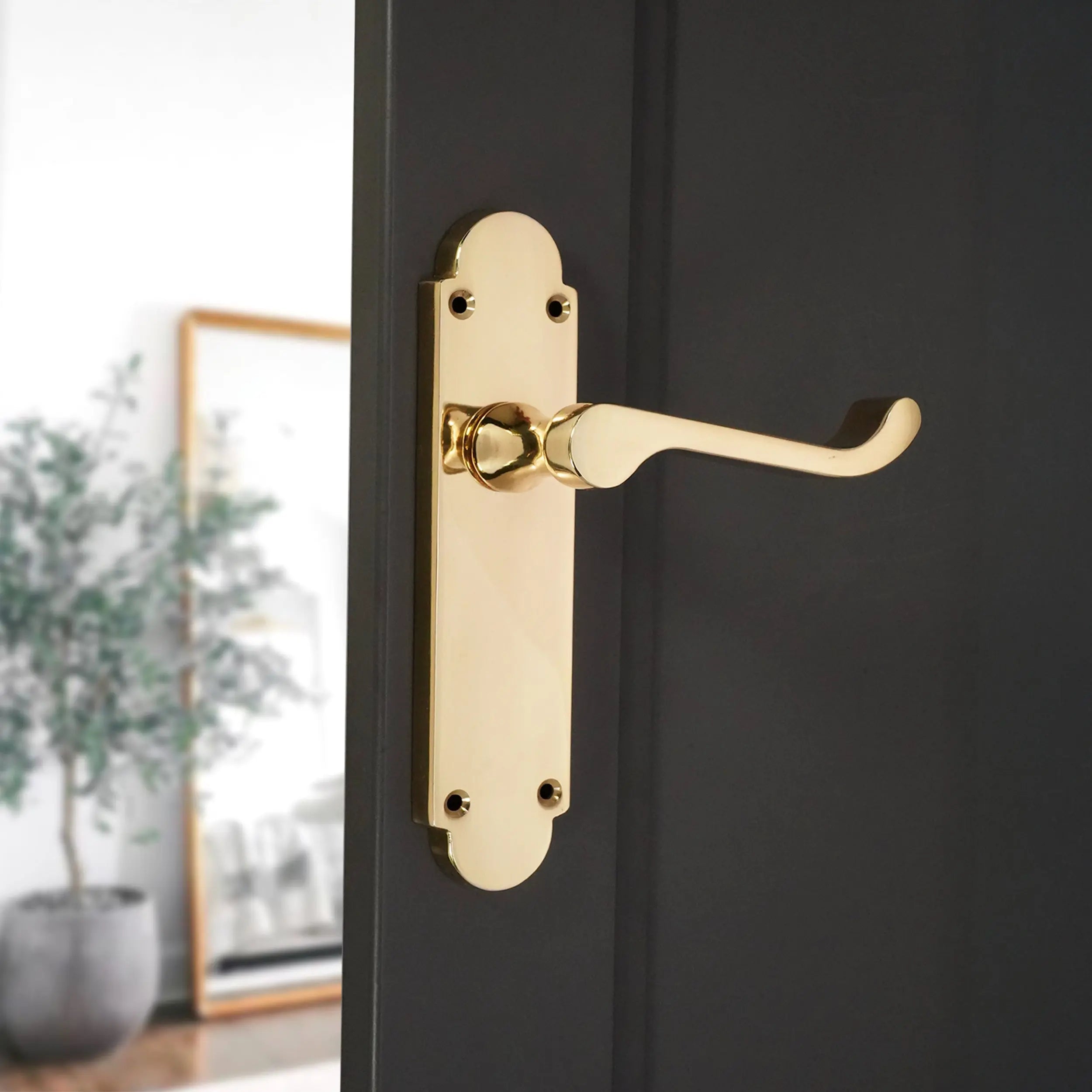 Oakley Lever on Backplate Latch Polished Brass Spira