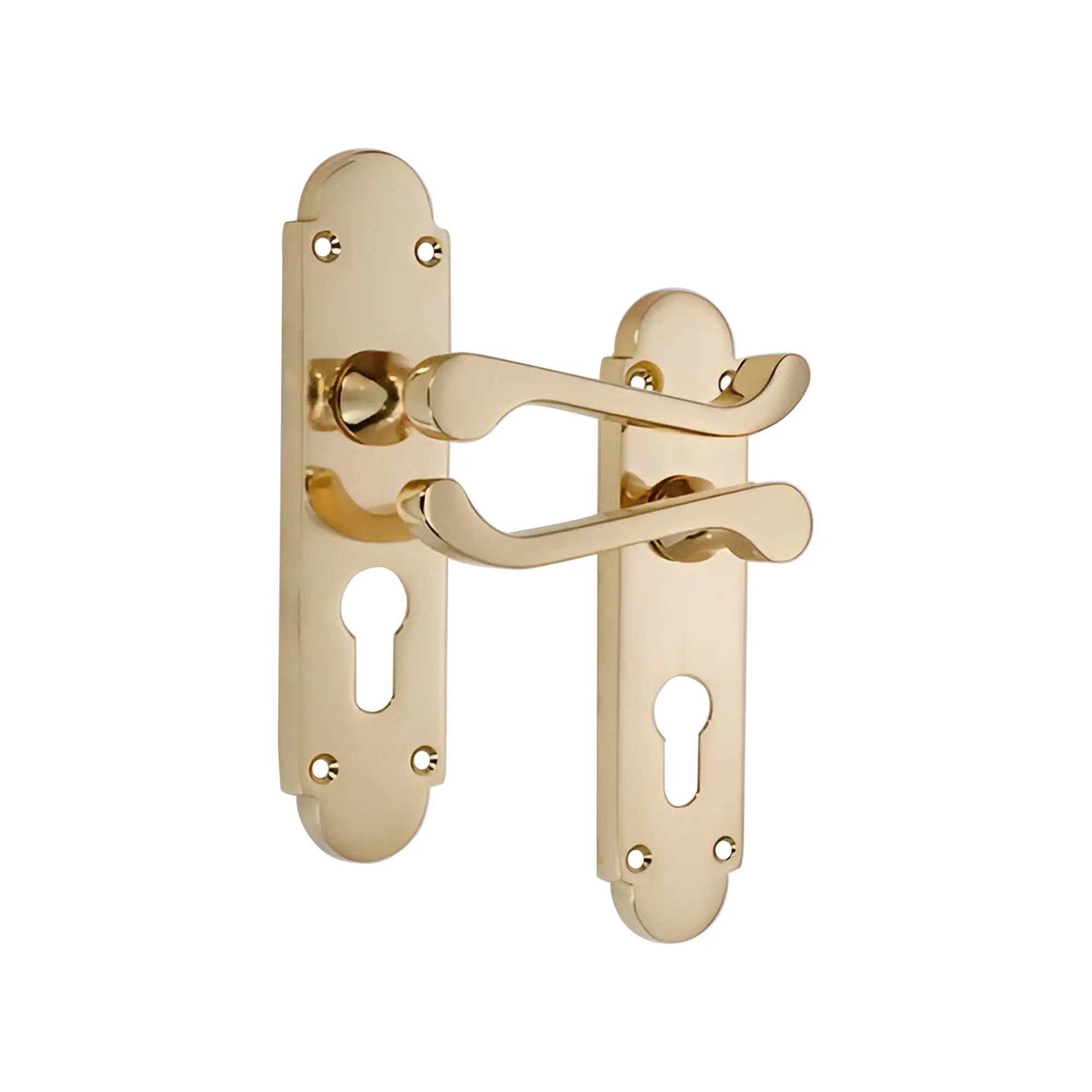 Oakley Lever on Backplate Euro Polished Brass Spira