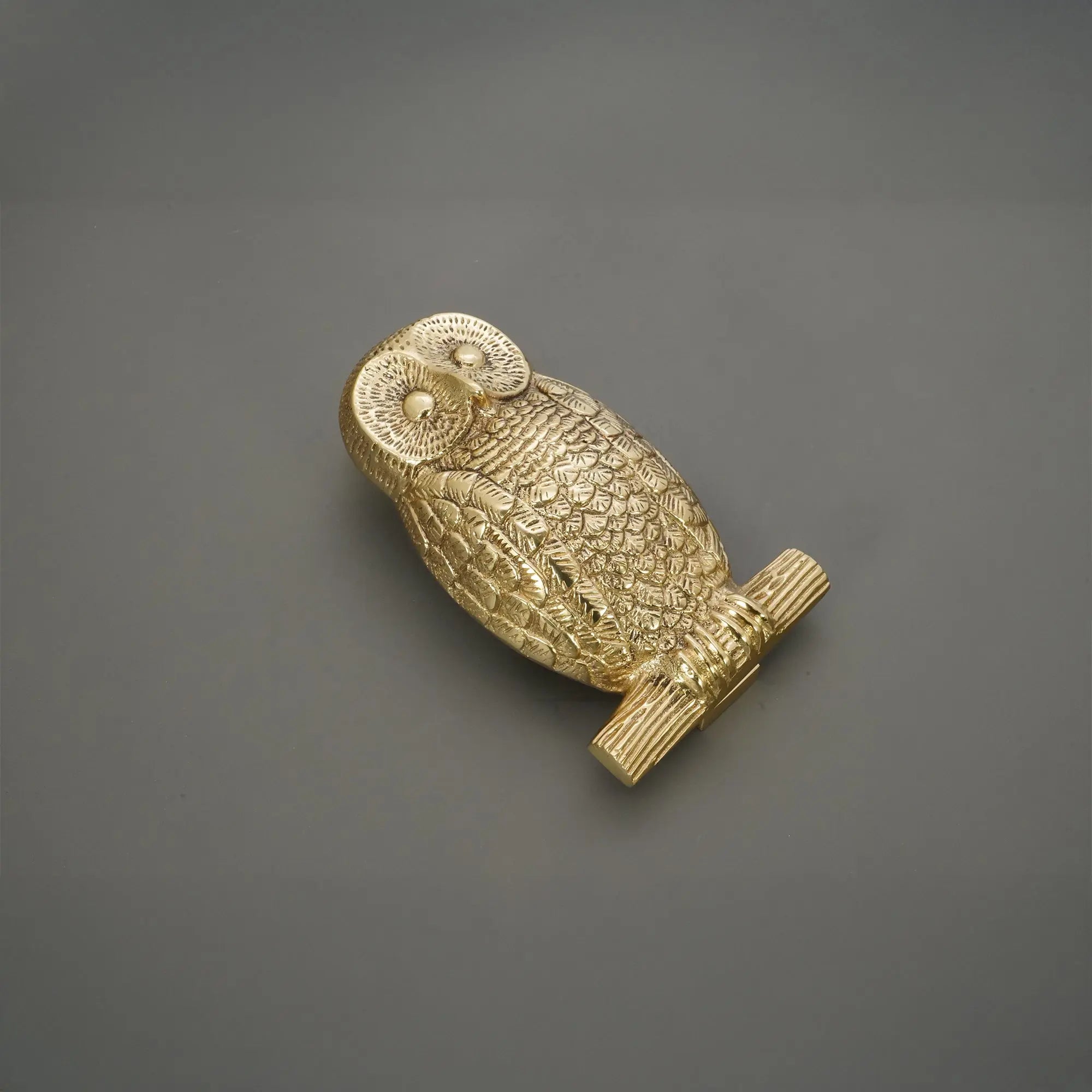 Owl Door Knocker Polished Brass Spira