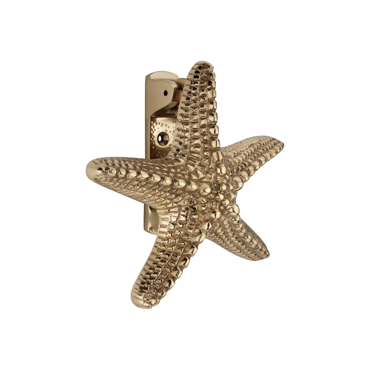 Starfish Door Knocker Polished Brass Spira