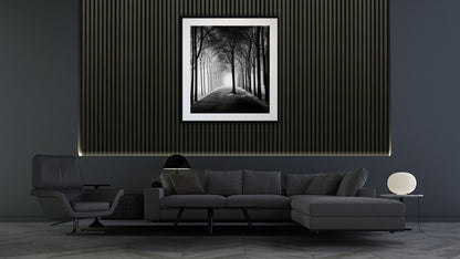 CINZA-IMAGE-NEW
