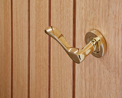 Ironmongery-Ariel-Polished-Brass-Handle-Hardware-Pack-2