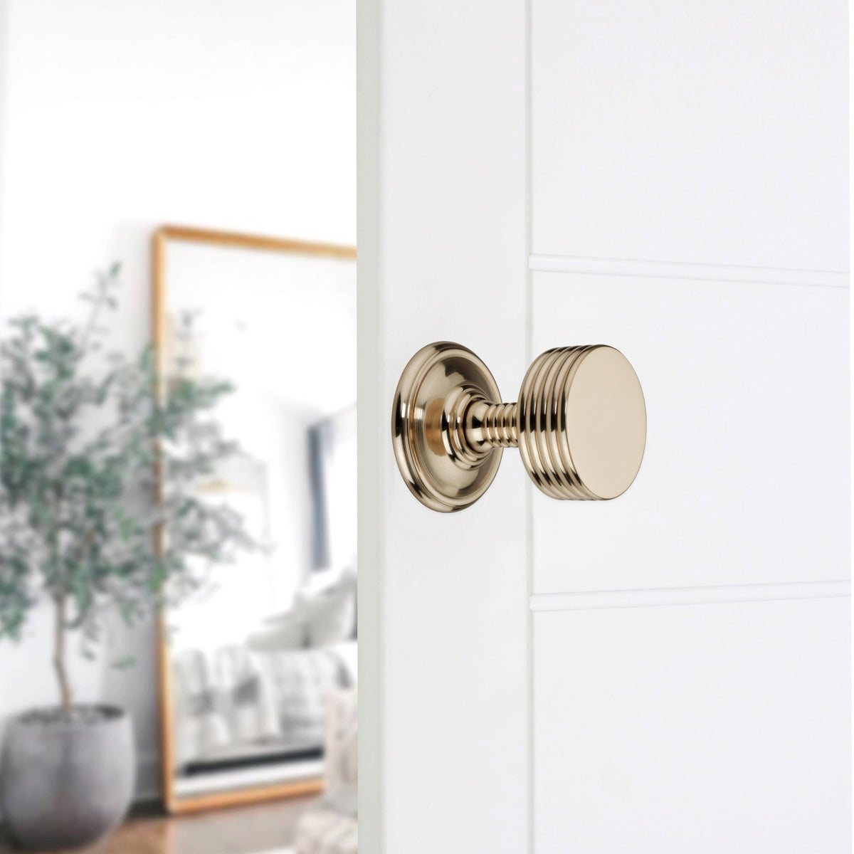 Oxford Mortice Door Knob Polished Brass