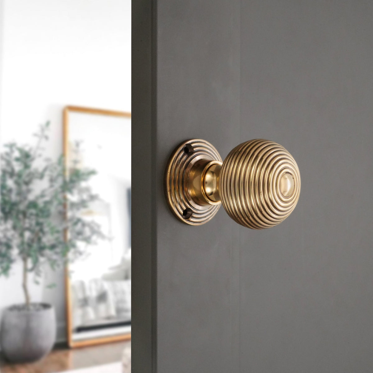 Ribbed Rim/Mortice Door Knob Aged Brass
